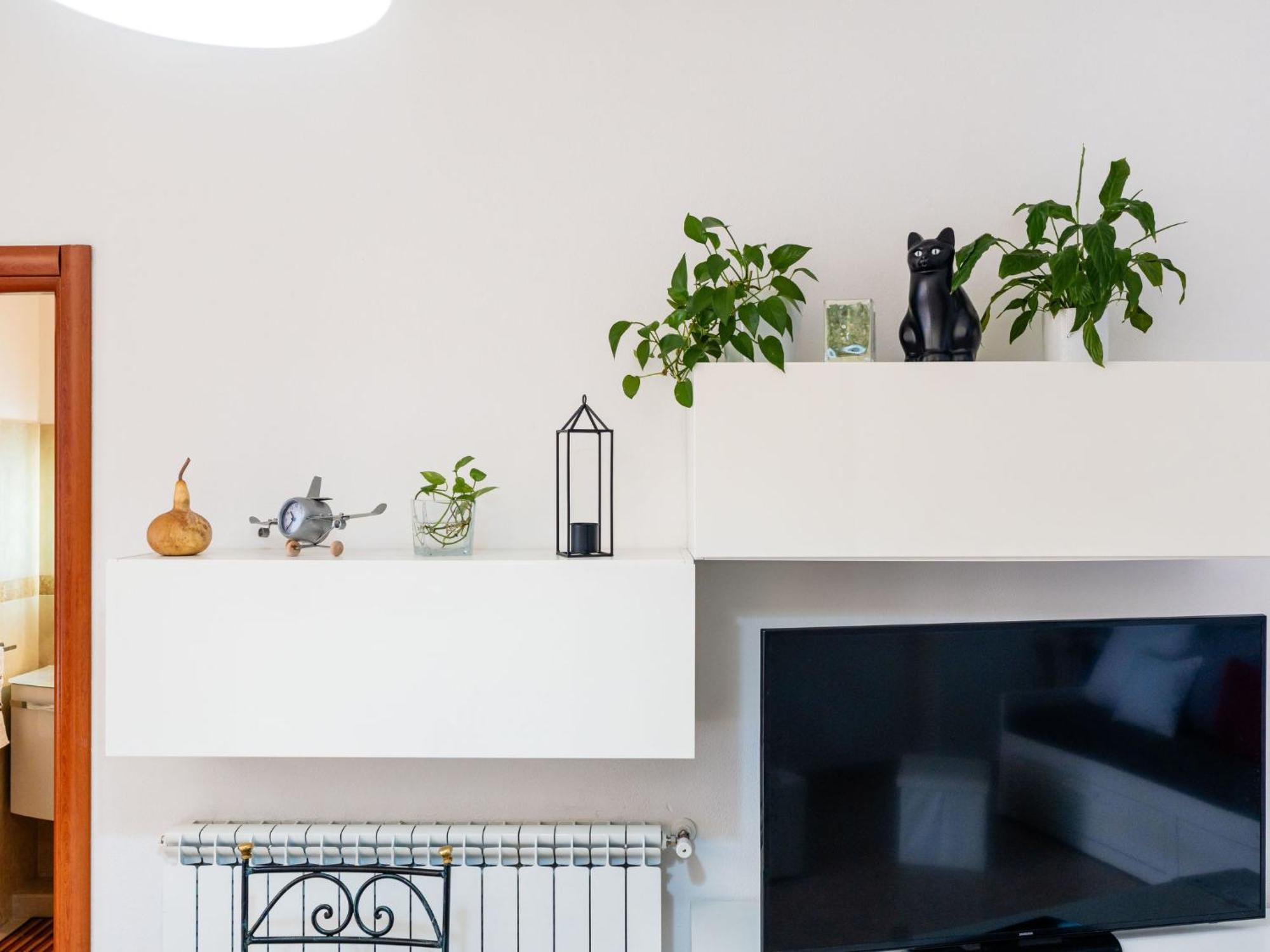 Apartment Calella By Interhome Camporosso  Eksteriør billede